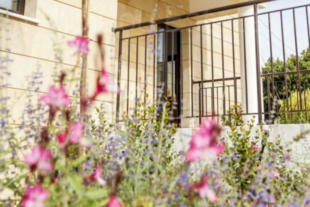 Epicurian Residence Nicosia Kültér fotó